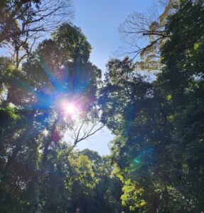 季節の風と健康だよりのアイキャッチ画像