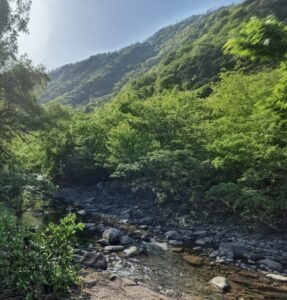 ＜第2章＞第6回 薬が合わないと感じたとき、どうする？のアイキャッチ画像