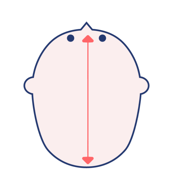 長頭